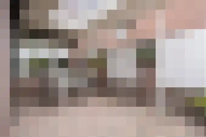 Dahliastraat 87 Weert thumbnail 32