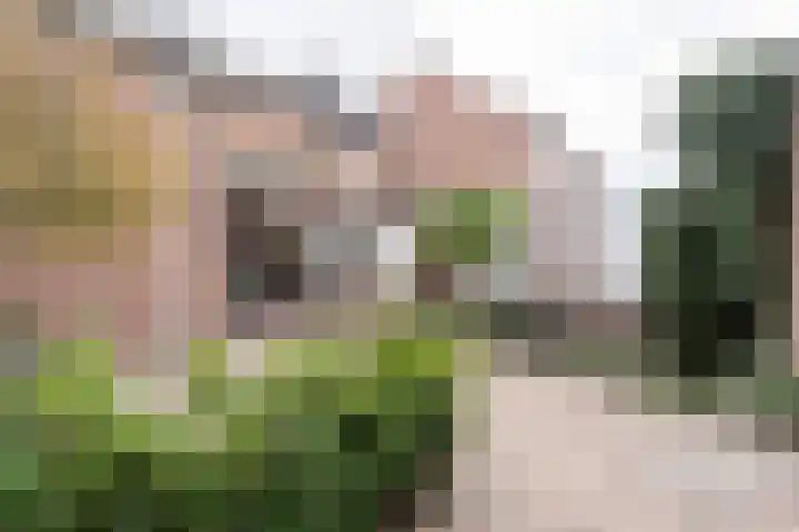 Dahliastraat 87 Weert thumbnail 36