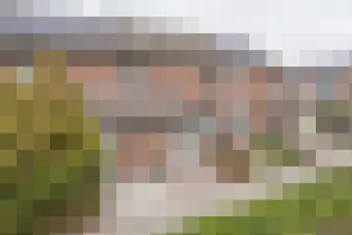 Dahliastraat 87 Weert thumbnail 37