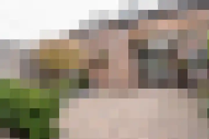 Dahliastraat 87 Weert thumbnail 4