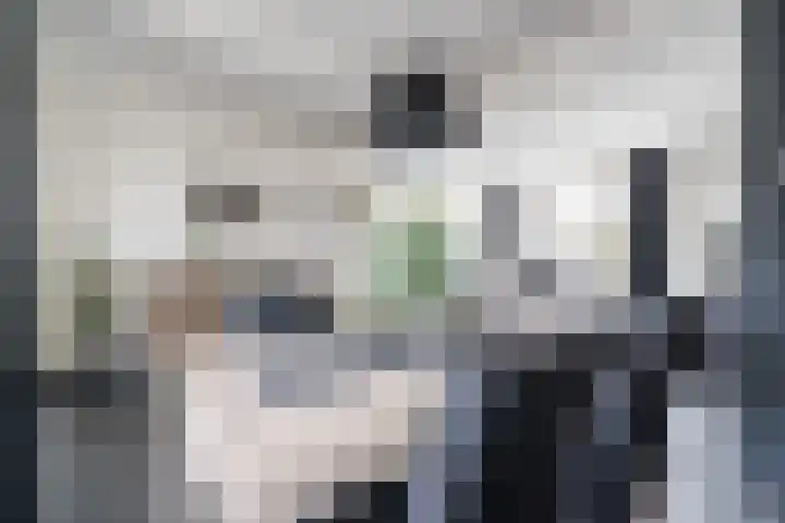 Dahliastraat 87 Weert thumbnail 8