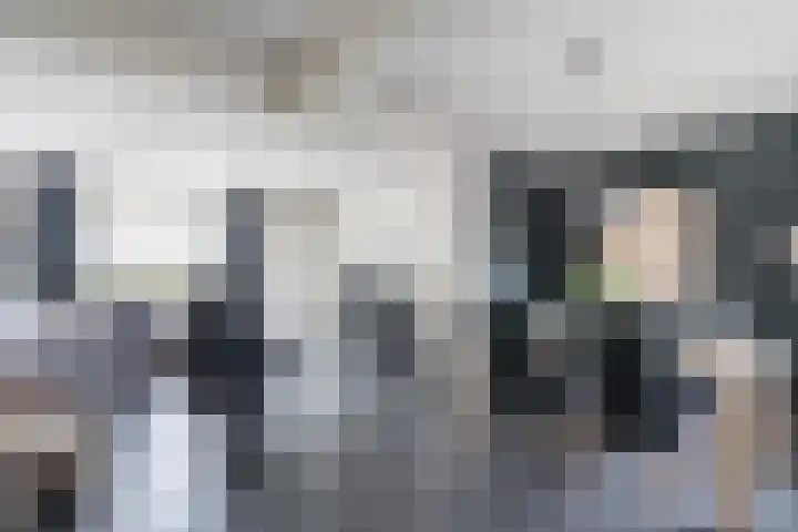 Dahliastraat 87 Weert thumbnail 9