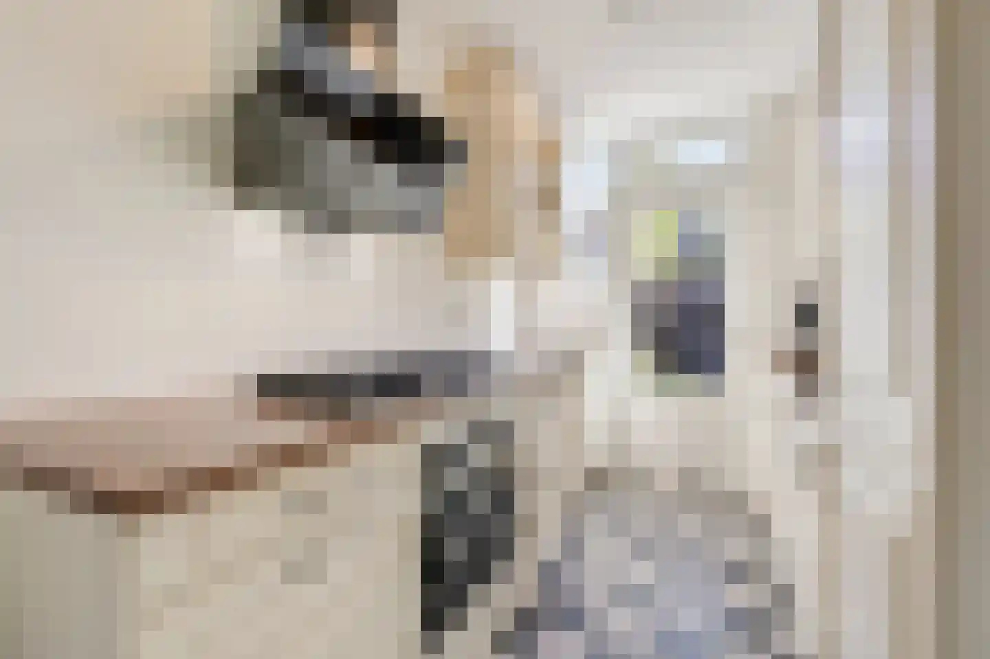 Dahliastraat 89 Malden thumbnail 10