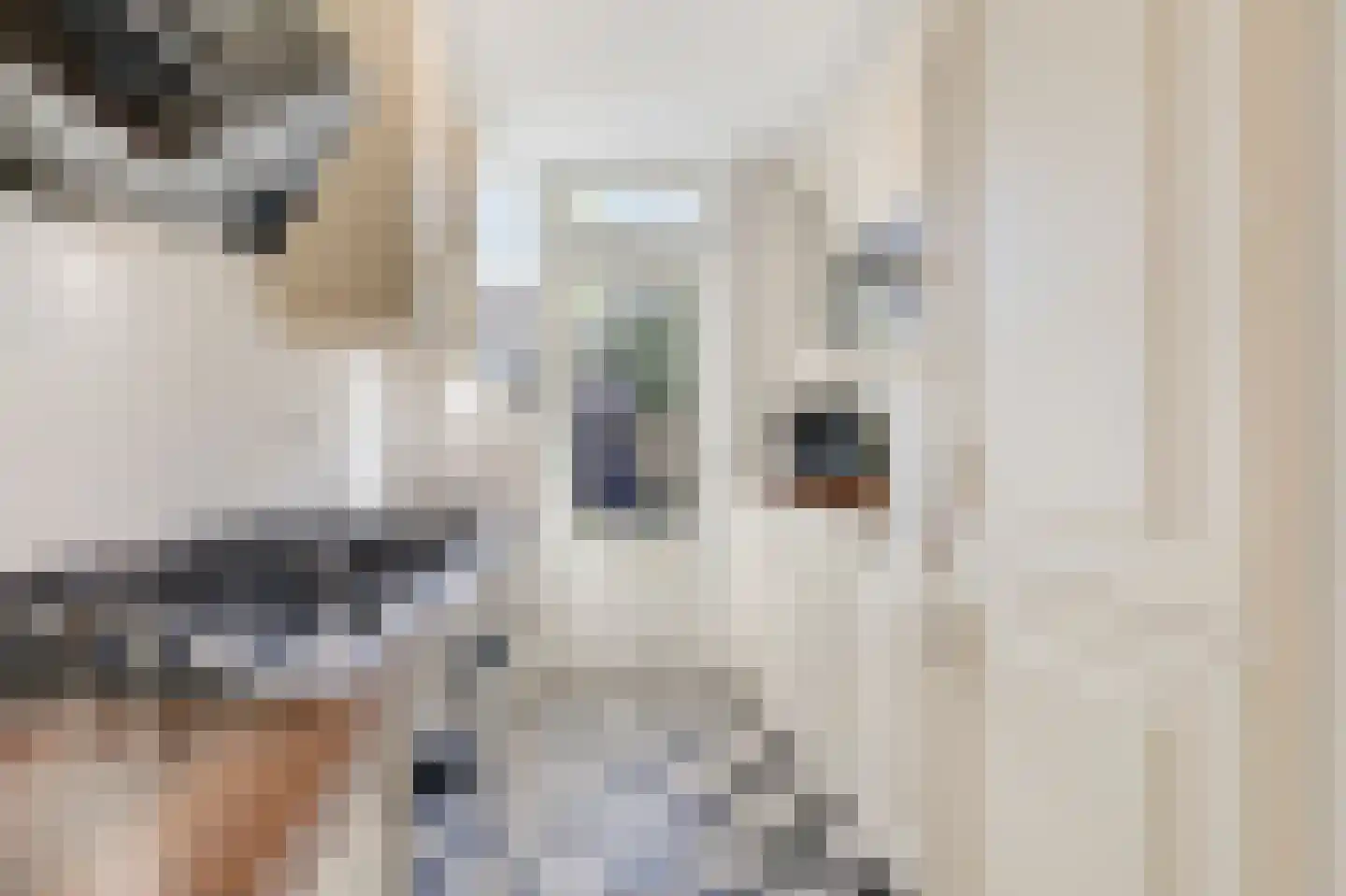 Dahliastraat 89 Malden thumbnail 11