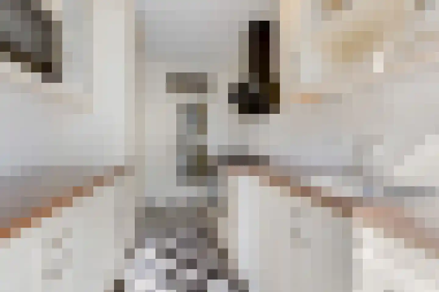 Dahliastraat 89 Malden thumbnail 12