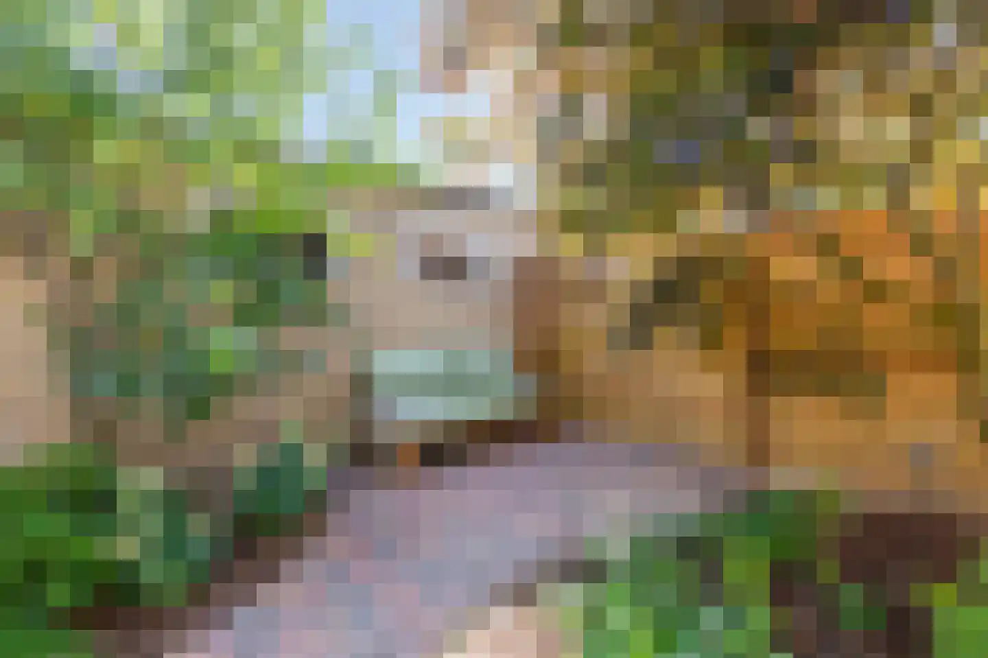 Dahliastraat 89 Malden thumbnail 33