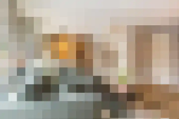 Dahliastraat 89 Veenendaal thumbnail 12