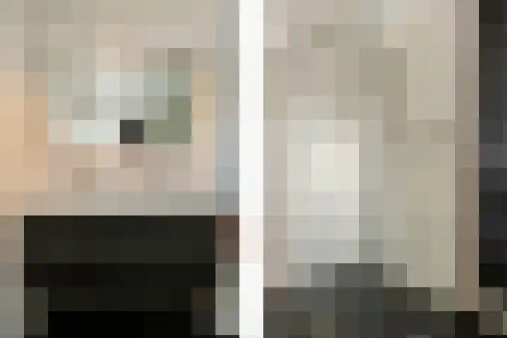 Dahliastraat 89 Veenendaal thumbnail 31