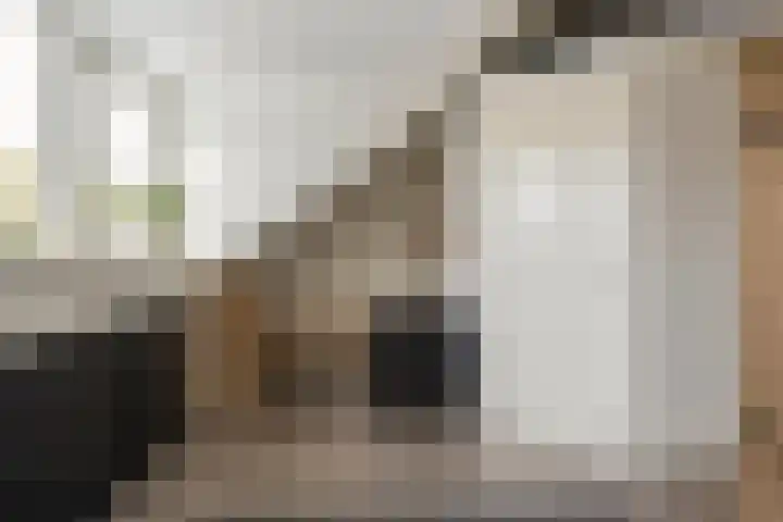 Dahliastraat 89 Veenendaal thumbnail 35
