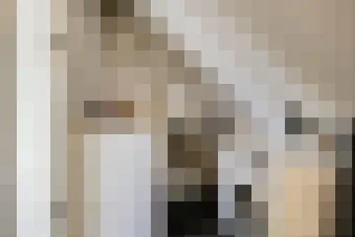 Dahliastraat 89 Veenendaal thumbnail 39