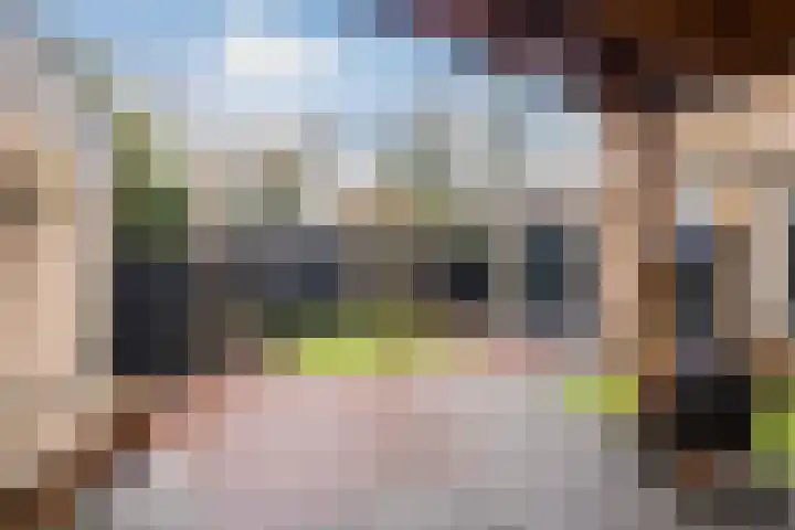 Dahliastraat 89 Veenendaal thumbnail 41