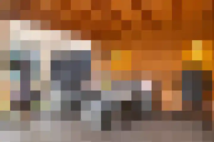 Dahliastraat 89 Veenendaal thumbnail 43