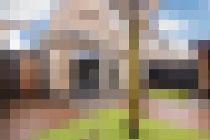 Dahliastraat 89 Veenendaal thumbnail 45