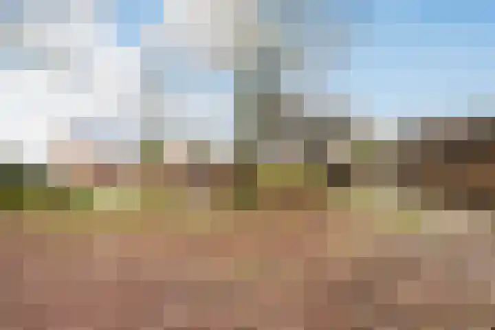 Dahliastraat 89 Veenendaal thumbnail 53