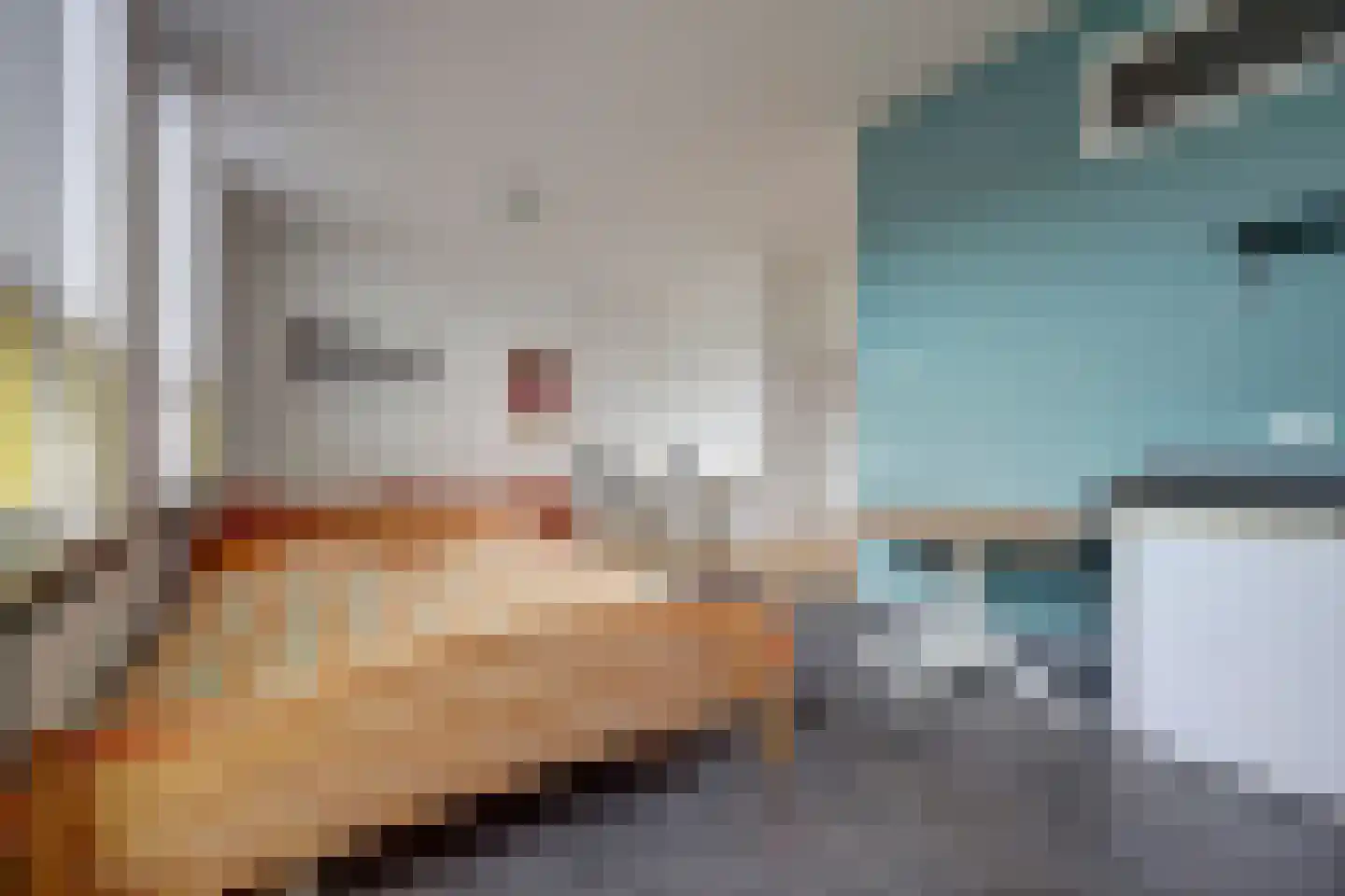 Dahliastraat 9 c Almelo thumbnail 10