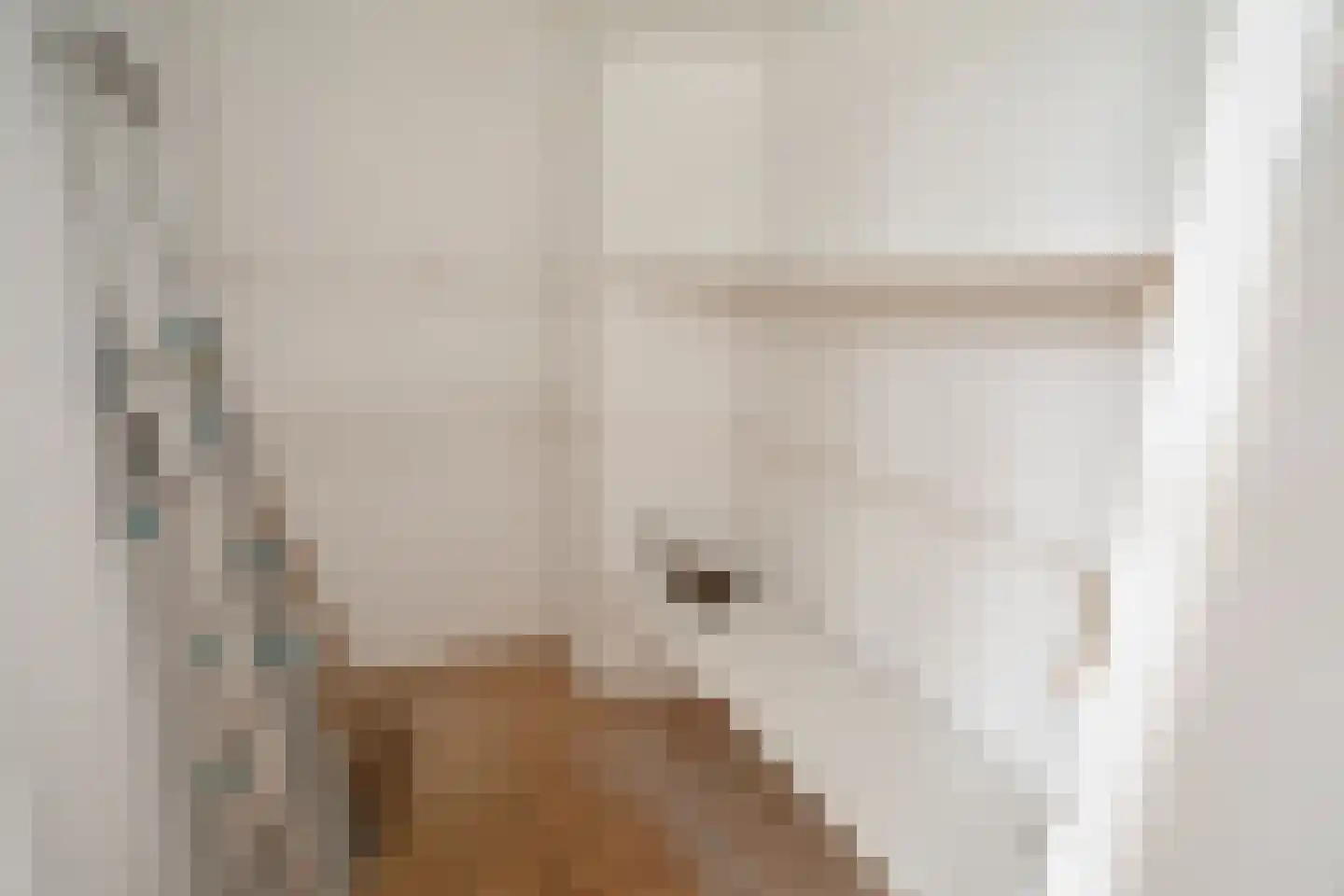 Dahliastraat 9 c Almelo thumbnail 11