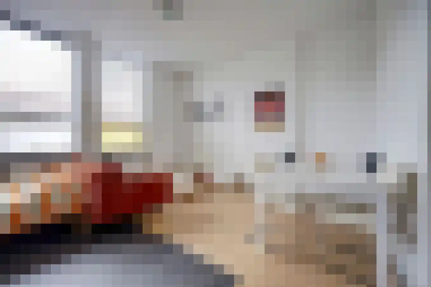 Dahliastraat 9 c Almelo thumbnail 11