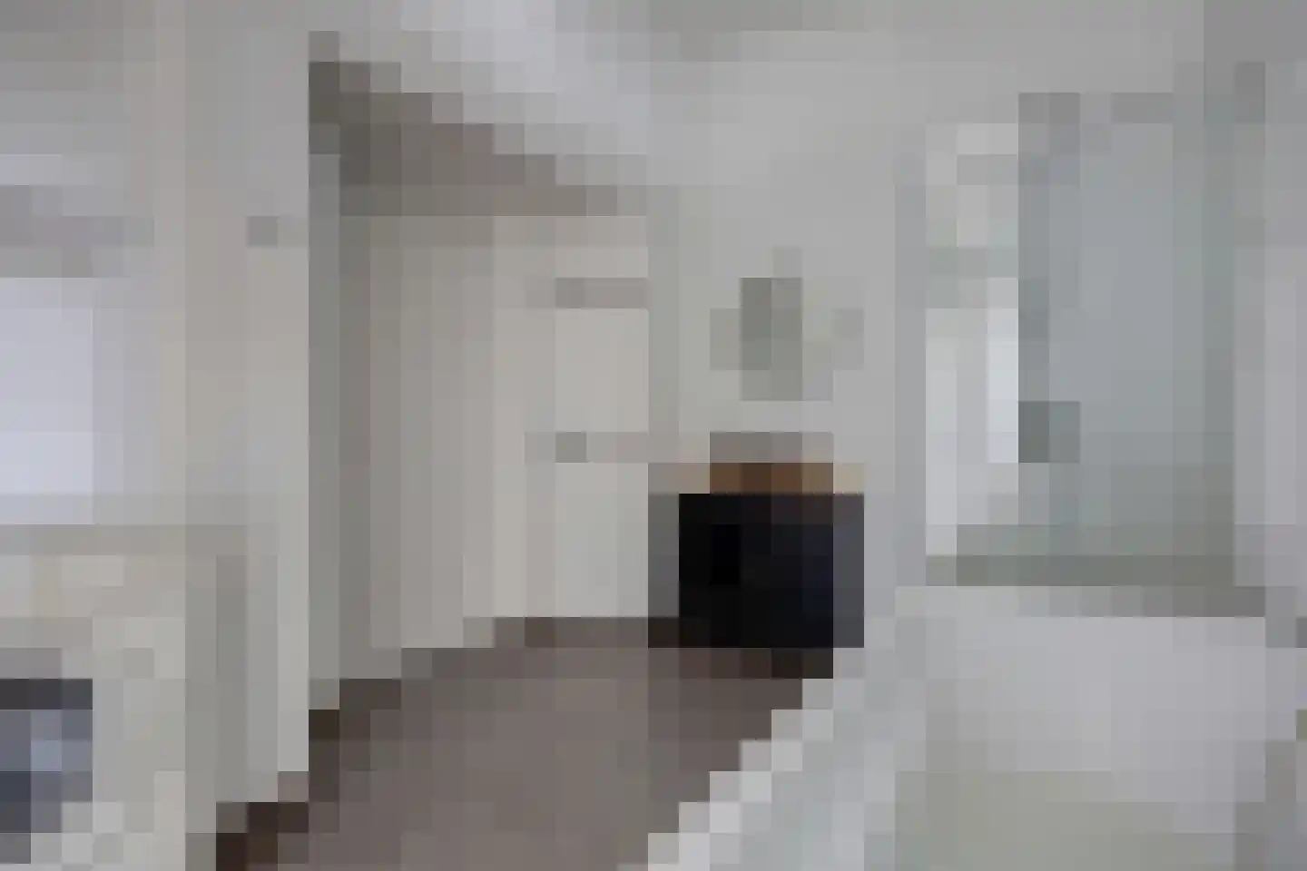 Dahliastraat 9 c Almelo thumbnail 15
