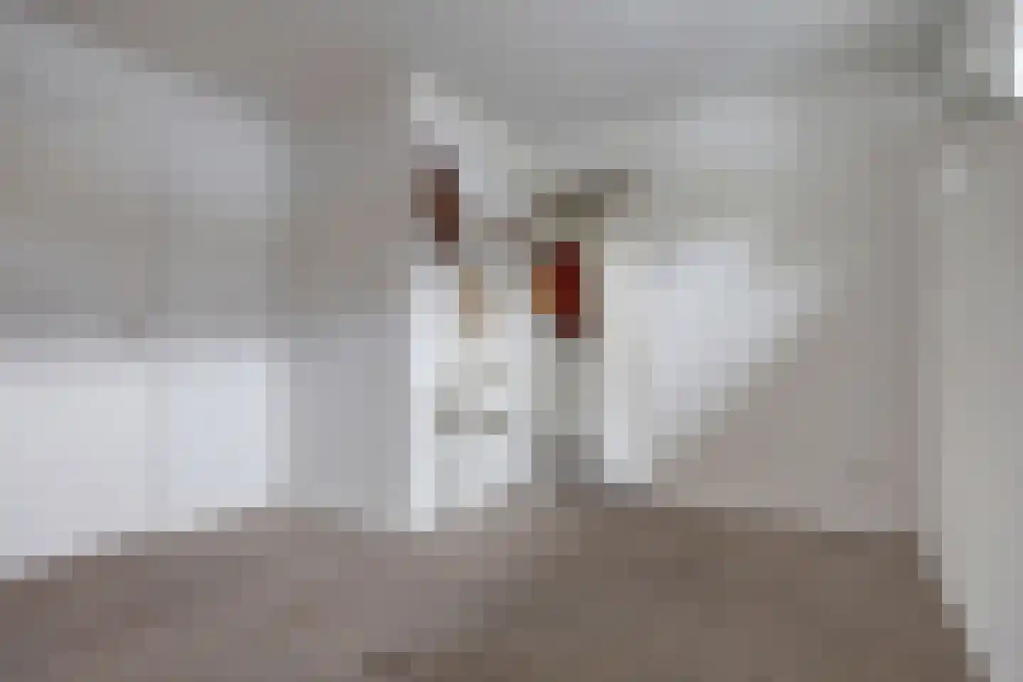 Dahliastraat 9 c Almelo thumbnail 18