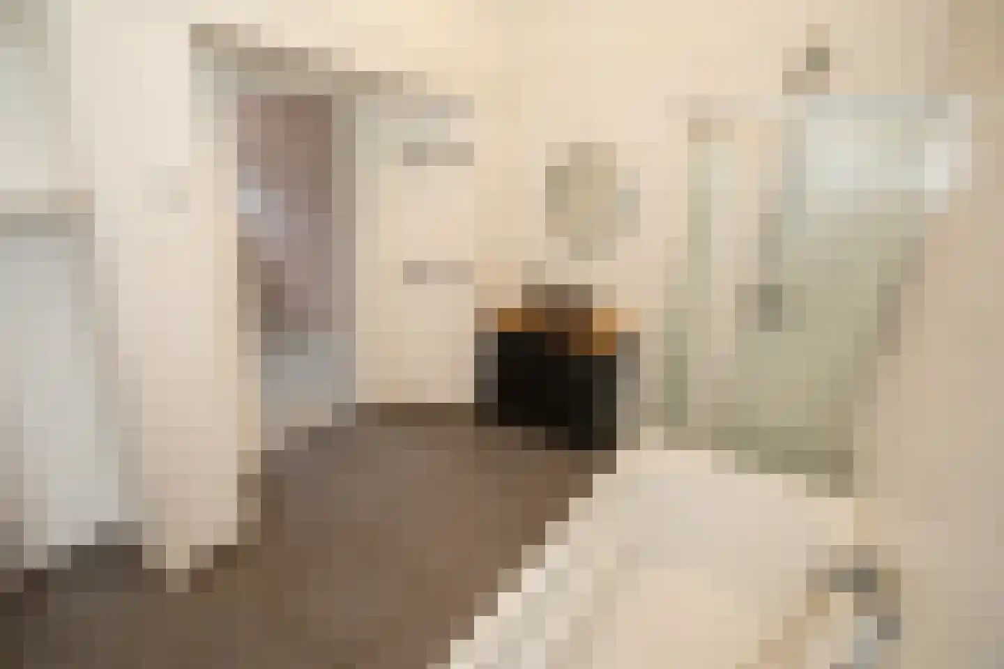 Dahliastraat 9 c Almelo thumbnail 25