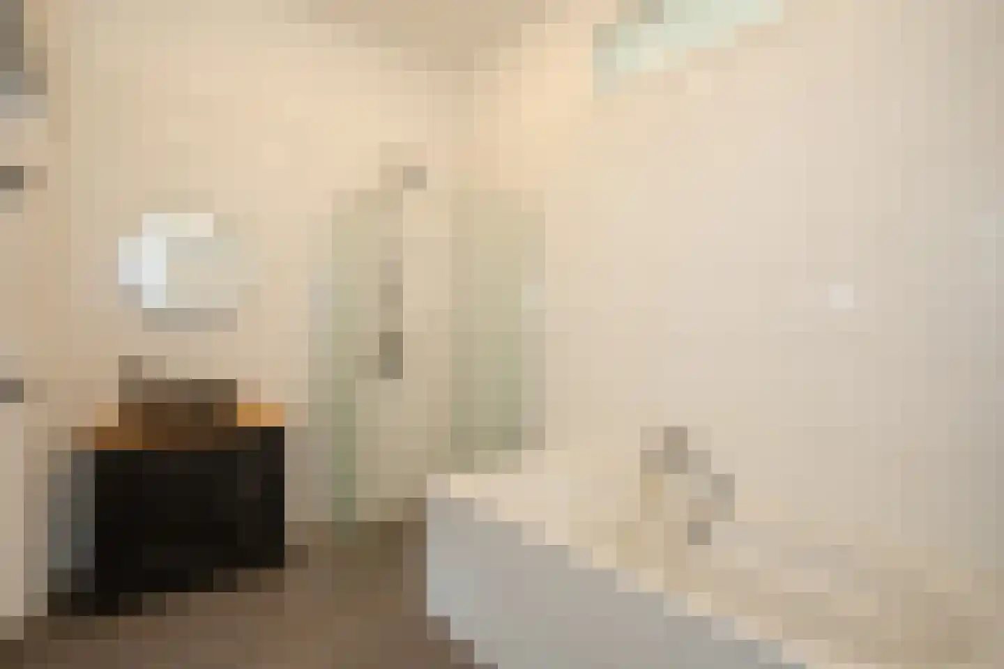Dahliastraat 9 c Almelo thumbnail 26