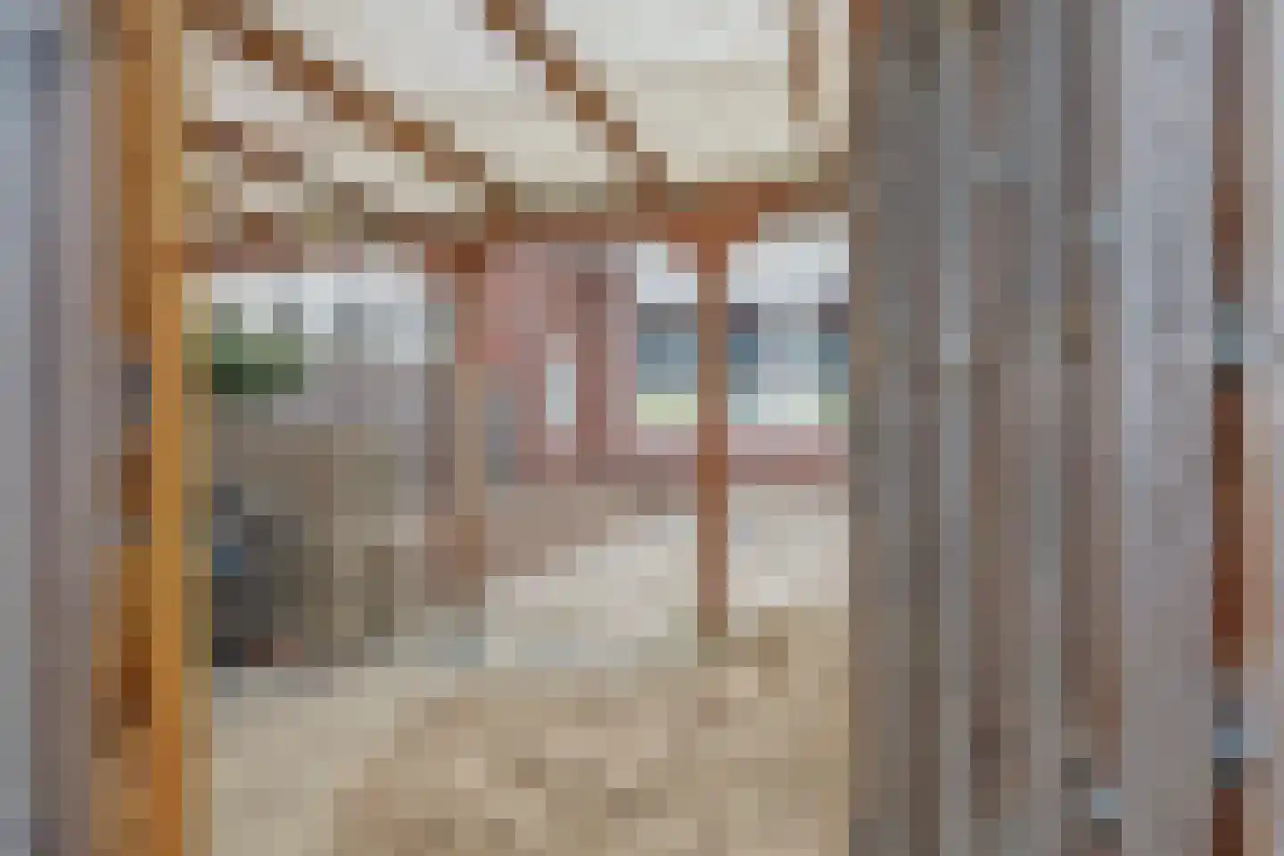 Dahliastraat 9 c Almelo thumbnail 30