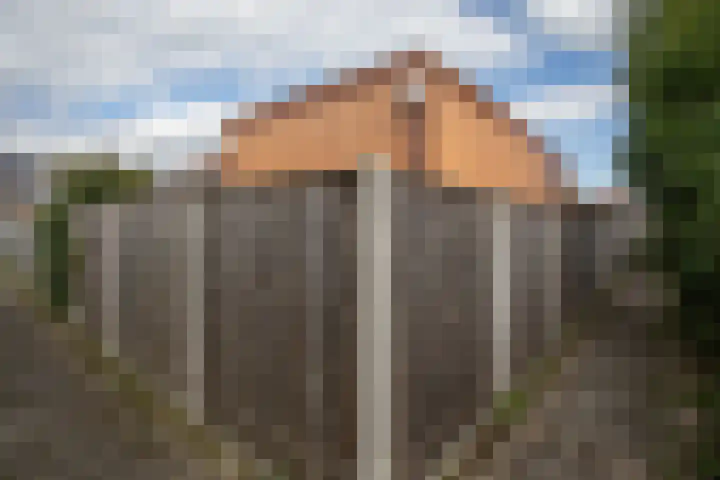 Dahliastraat 9 c Almelo thumbnail 41