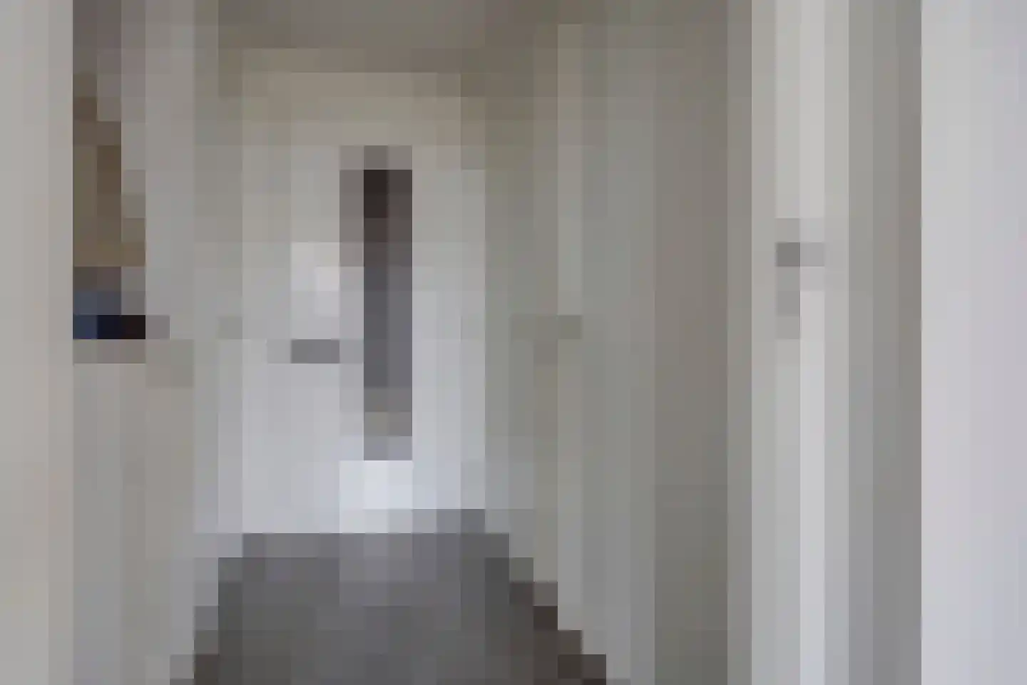 Dahliastraat 9 c Almelo thumbnail 8