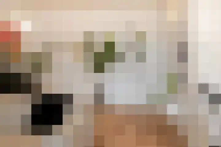 Dahliastraat 9 f Almelo thumbnail 11