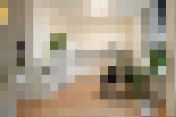 Dahliastraat 9 f Almelo thumbnail 14