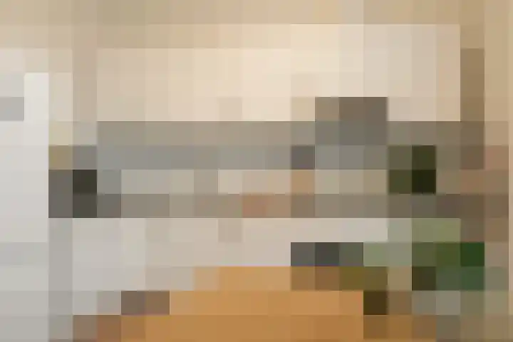 Dahliastraat 9 f Almelo thumbnail 16