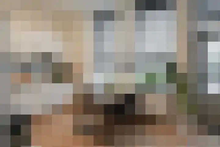 Dahliastraat 9 f Almelo thumbnail 19