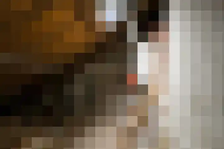 Dahliastraat 9 f Almelo thumbnail 22