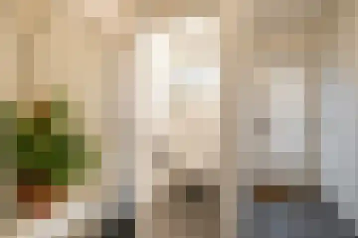 Dahliastraat 9 f Almelo thumbnail 6