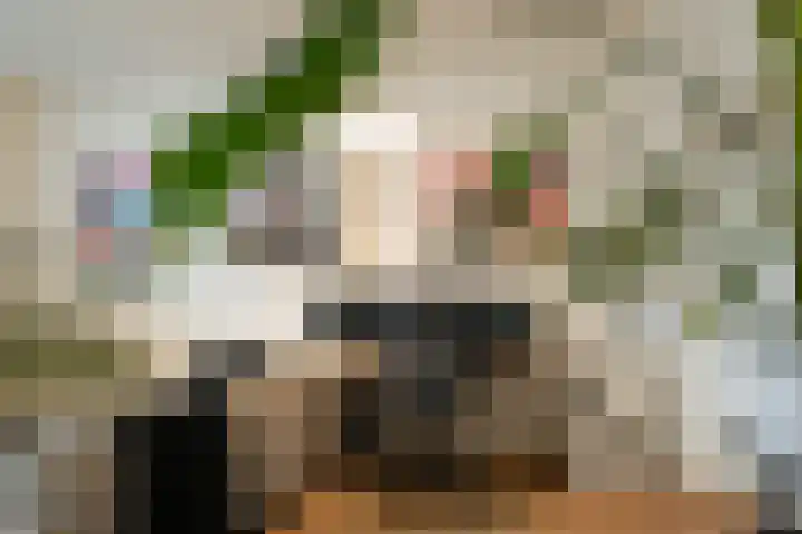 Dahliastraat 9 f Almelo thumbnail 8