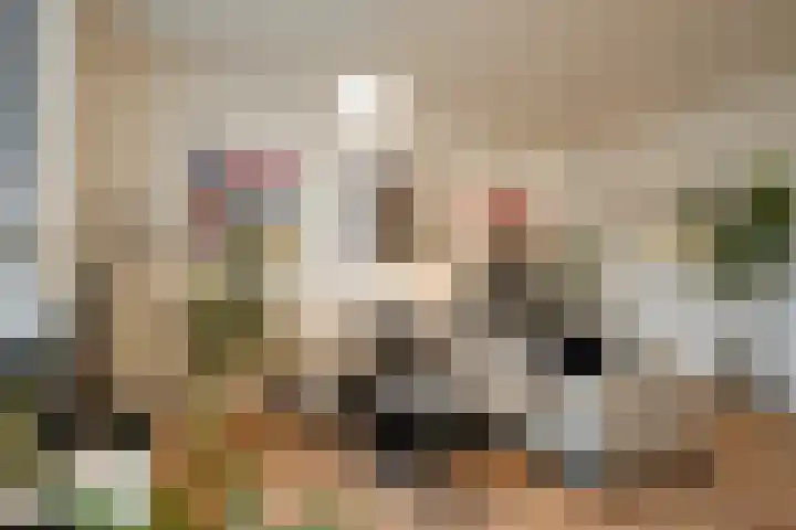 Dahliastraat 9 f Almelo thumbnail 9