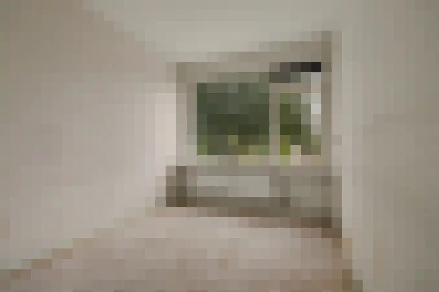 Dahliastraat 9 Spijkenisse thumbnail 11