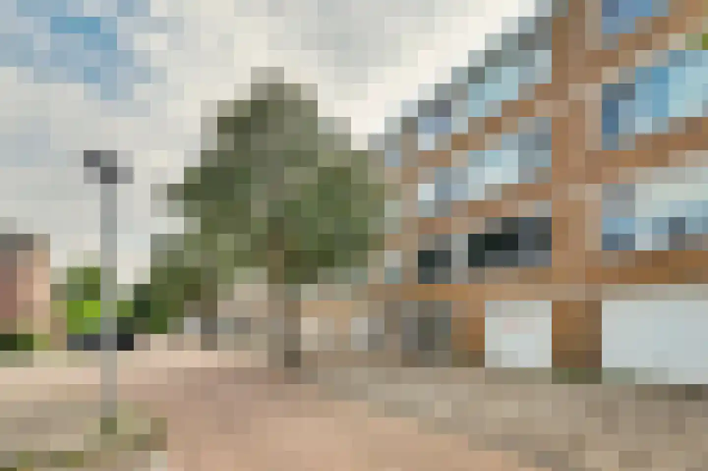 Dahliastraat 9 Spijkenisse foto 3