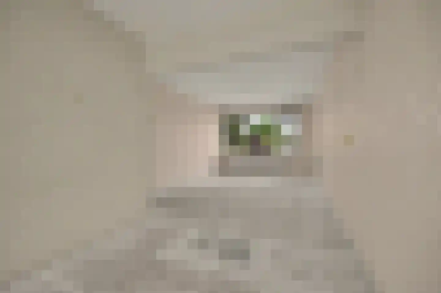 Dahliastraat 9 Spijkenisse thumbnail 4