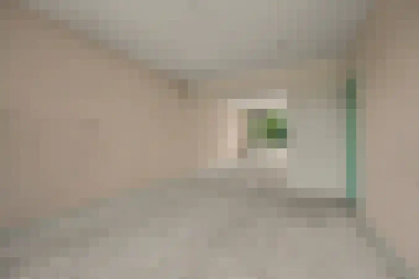Dahliastraat 9 Spijkenisse thumbnail 5