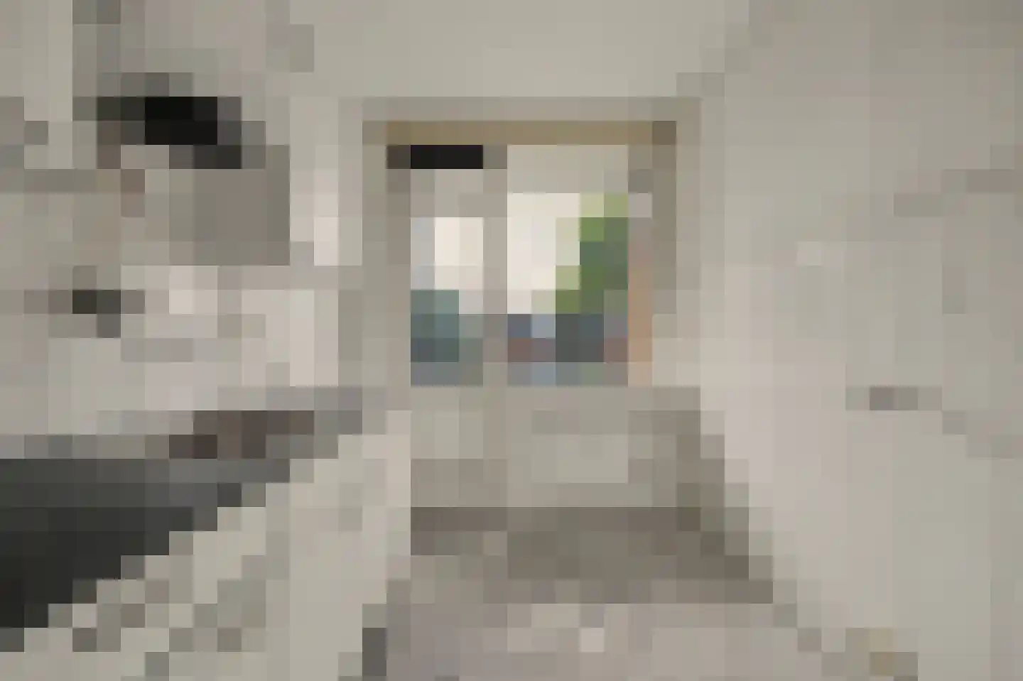 Dahliastraat 9 Spijkenisse thumbnail 6