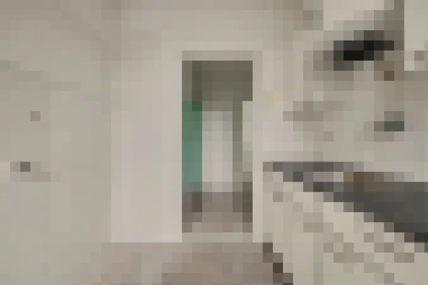 Dahliastraat 9 Spijkenisse thumbnail 7