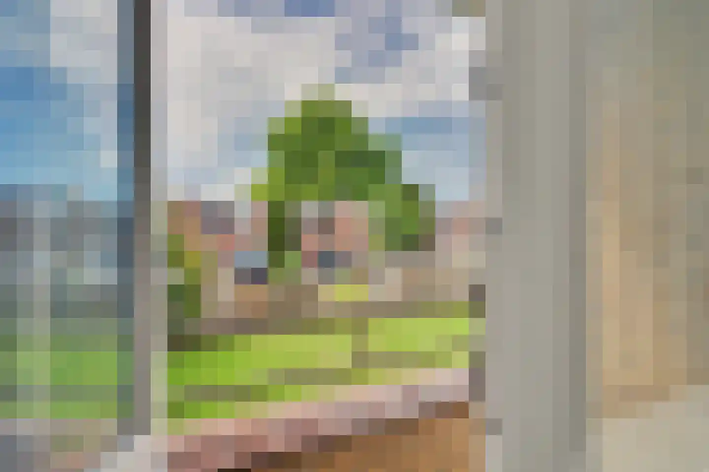 Dahliastraat 9 Spijkenisse thumbnail 8
