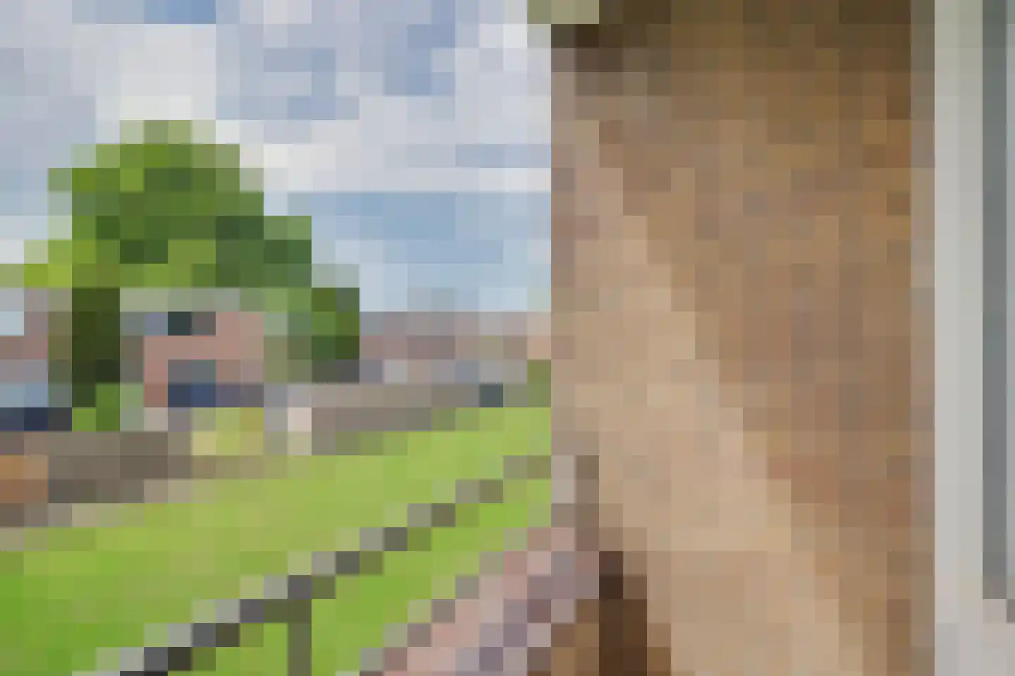 Dahliastraat 9 Spijkenisse thumbnail 9