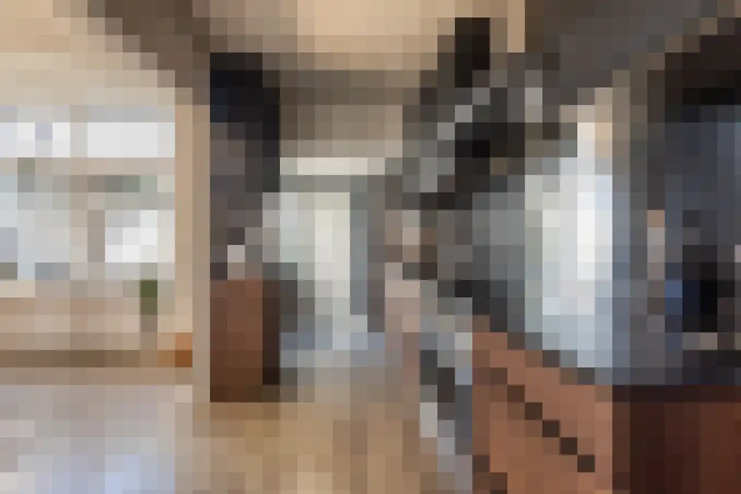 Dahliastraat 9 Terneuzen thumbnail 12