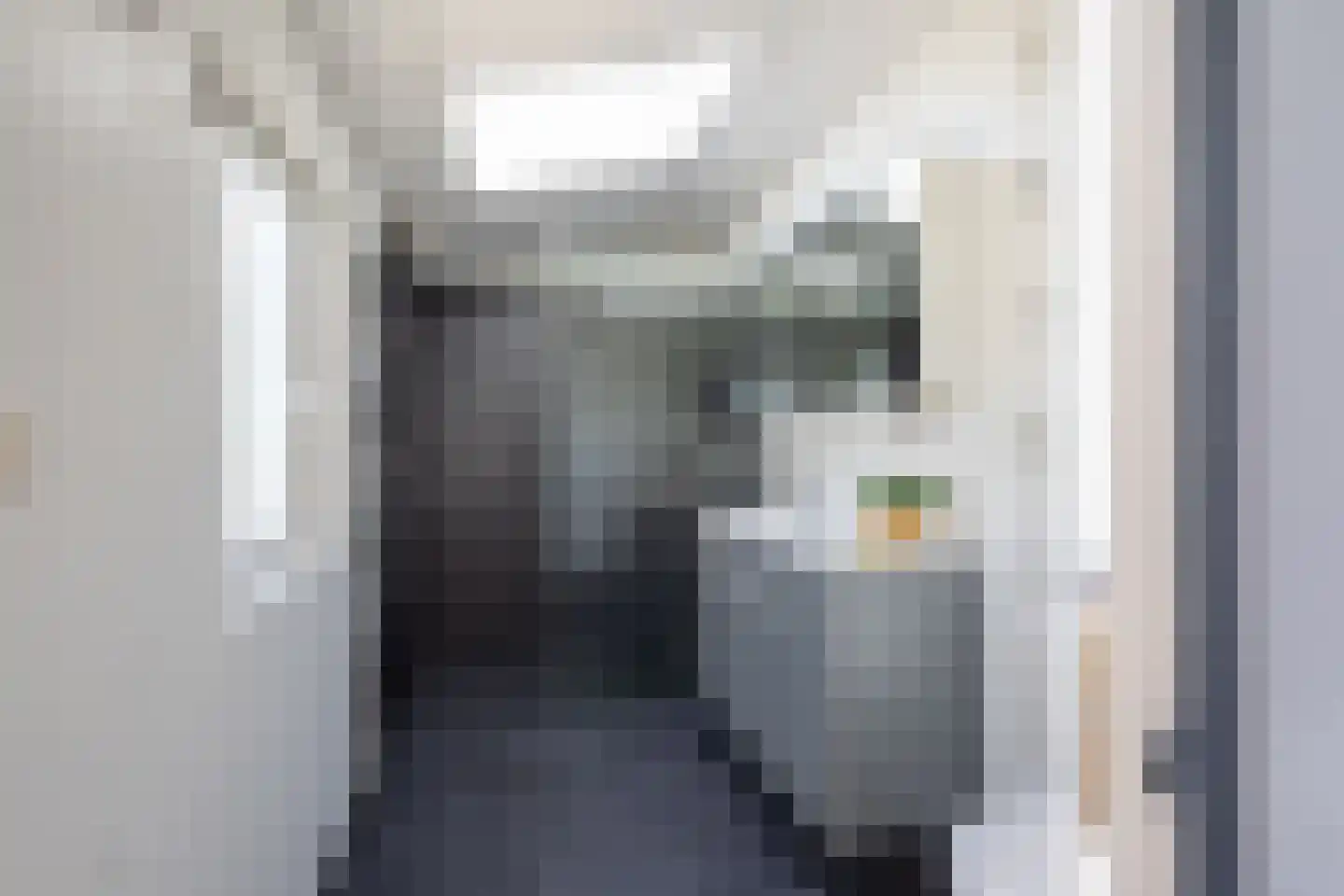 Dahliastraat 9 Terneuzen thumbnail 15