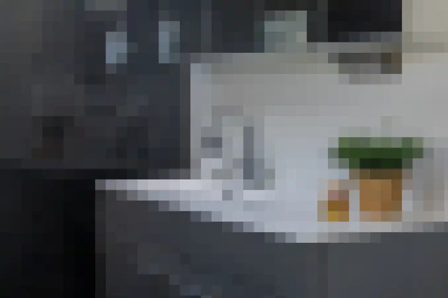 Dahliastraat 9 Terneuzen thumbnail 16