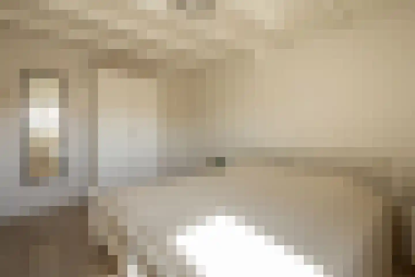 Dahliastraat 9 Terneuzen thumbnail 21