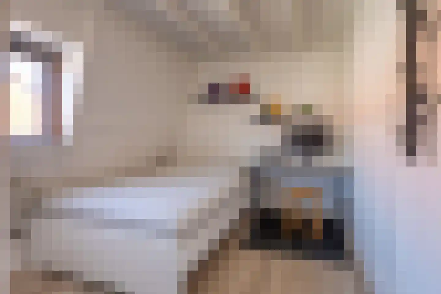Dahliastraat 9 Terneuzen thumbnail 22