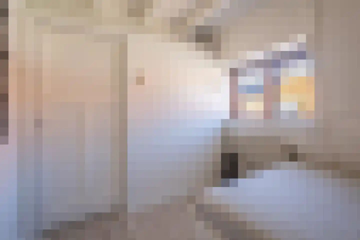 Dahliastraat 9 Terneuzen thumbnail 23